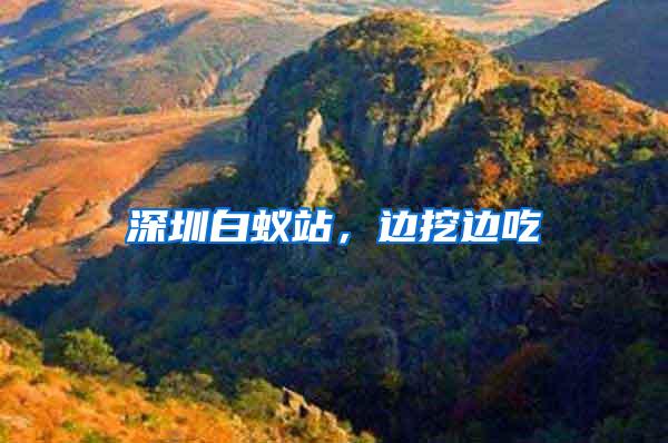 深圳白蟻站，邊挖邊吃