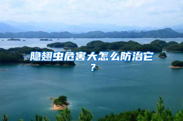 隱翅蟲危害大怎么防治它？