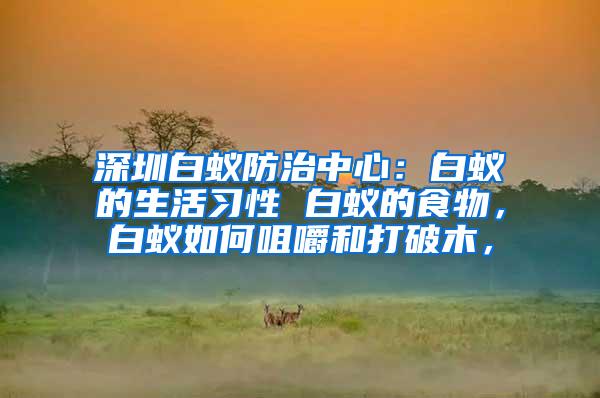 深圳白蟻防治中心：白蟻的生活習(xí)性 白蟻的食物，白蟻如何咀嚼和打破木，