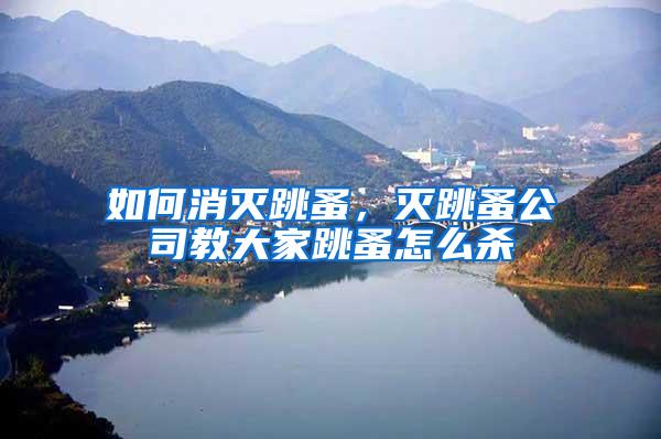 如何消滅跳蚤，滅跳蚤公司教大家跳蚤怎么殺