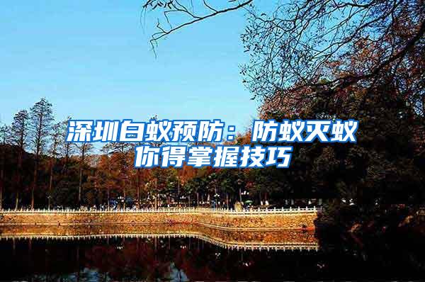 深圳白蟻預防：防蟻滅蟻你得掌握技巧