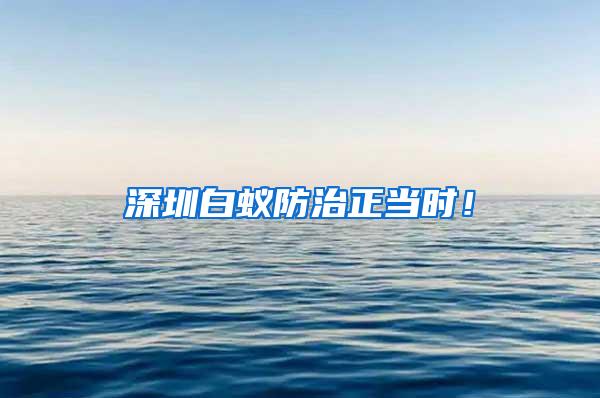 深圳白蟻防治正當時！