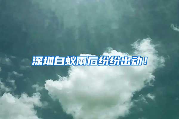 深圳白蟻雨后紛紛出動(dòng)！