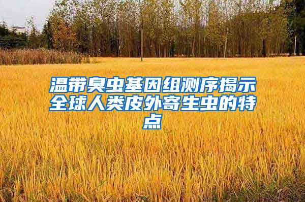 溫帶臭蟲基因組測(cè)序揭示全球人類皮外寄生蟲的特點(diǎn)