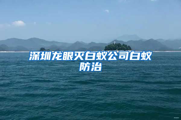 深圳龍眼滅白蟻公司白蟻防治