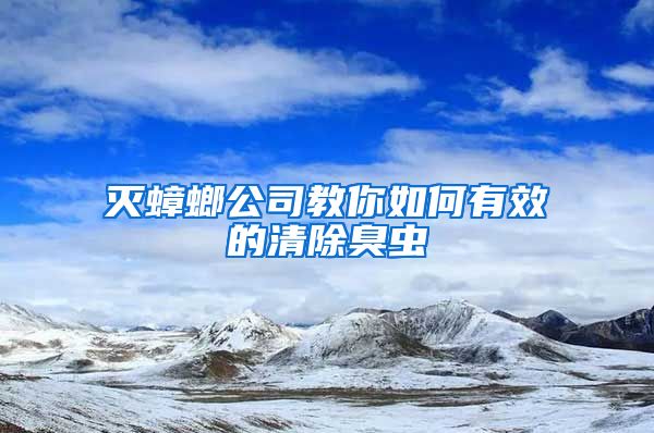 滅蟑螂公司教你如何有效的清除臭蟲