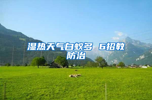 濕熱天氣白蟻多 6招教防治
