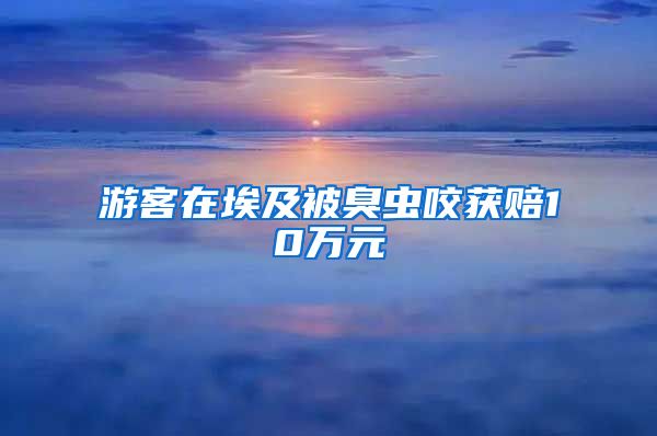 游客在埃及被臭蟲咬獲賠10萬元