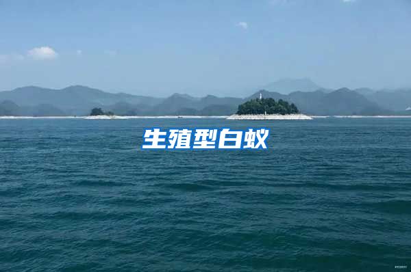 生殖型白蟻