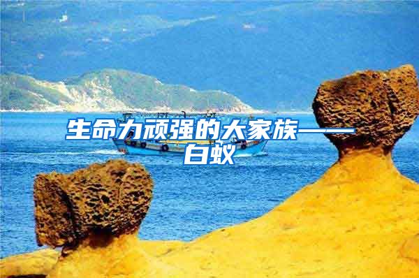生命力頑強(qiáng)的大家族——白蟻