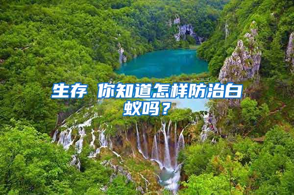 生存│你知道怎樣防治白蟻嗎？